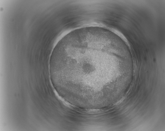 X0000067911439200605111931