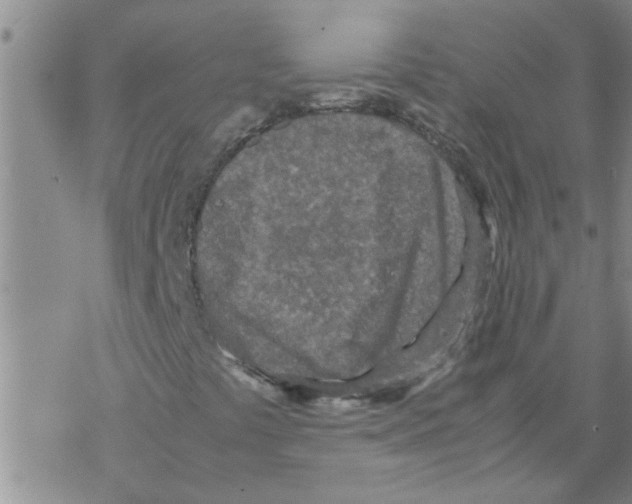 X0000067911441200605111931