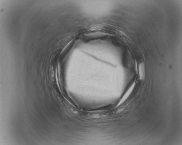 X0000067911443200605111931