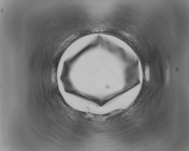 X0000067911444200605111931