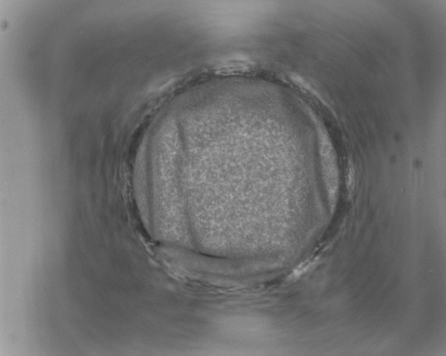 X0000067911445200605111931