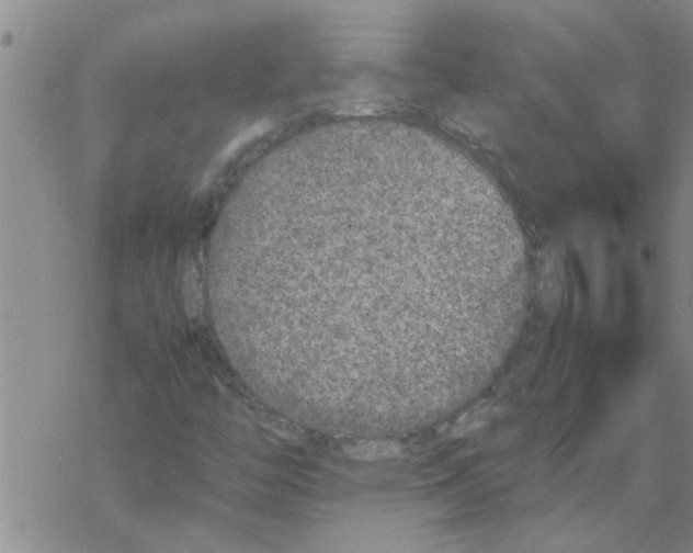 X0000067911446200605111931