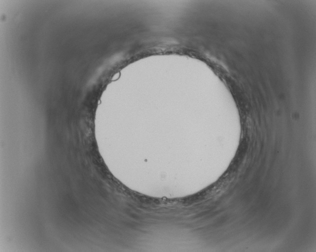 X0000067911447200605111931