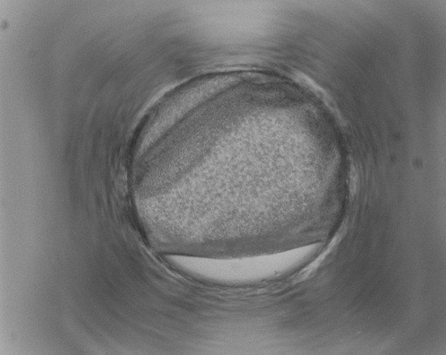 X0000067911449200605111930