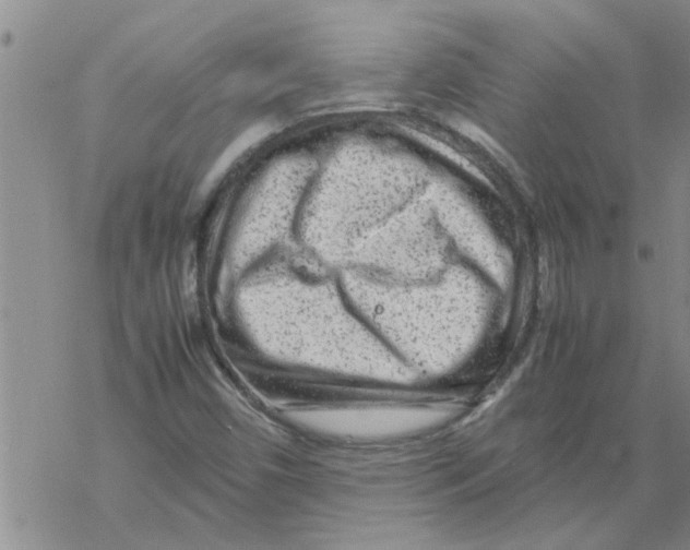 X0000067911450200605111930