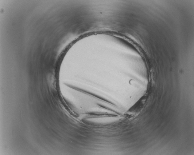 X0000067911452200605111930