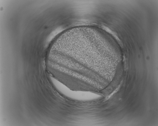 X0000067911453200605111930