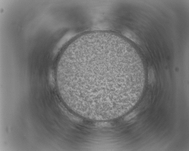 X0000067911454200605111930