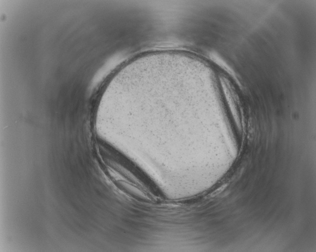 X0000067911456200605111930