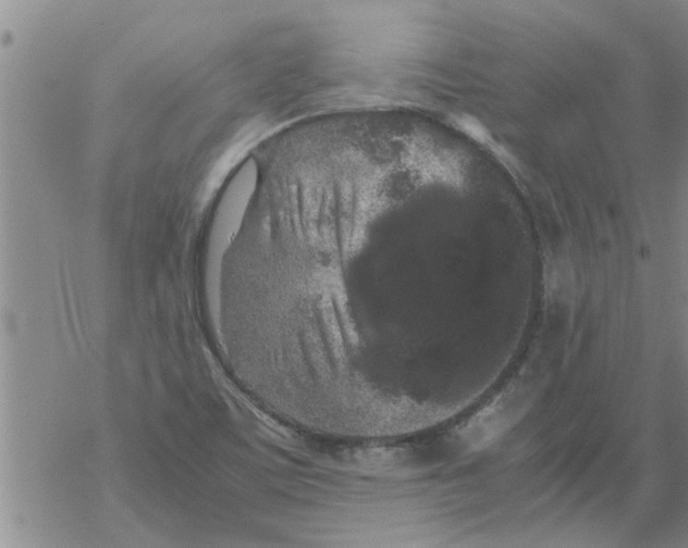 X0000067911459200605111930