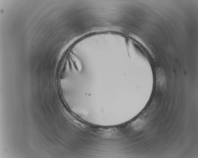 X0000067911460200605111930