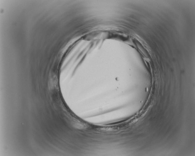 X0000067911465200605111930