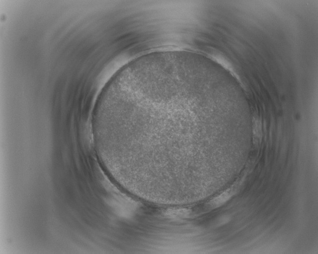 X0000067911466200605111930