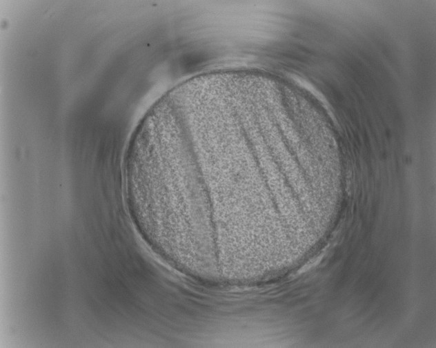 X0000067911467200605111930