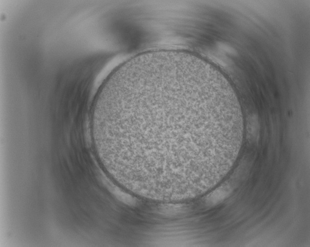 X0000067911470200605111930