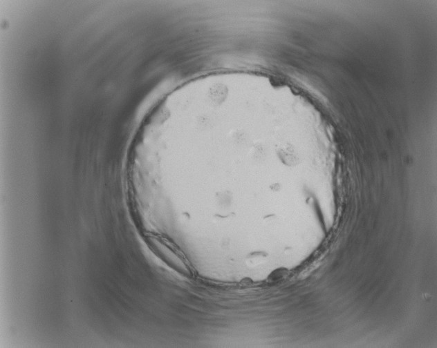 X0000067911471200605111930