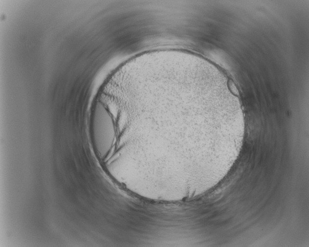 X0000067911472200605111930