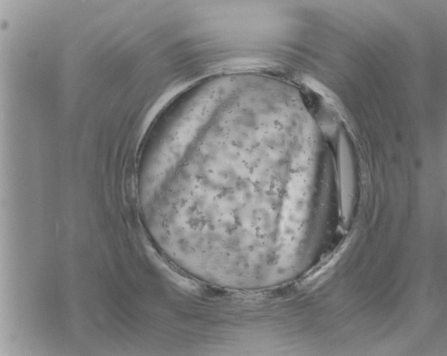 X0000067911473200605111930