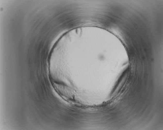 X0000067911476200605111930