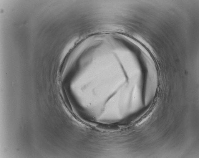 X0000067911477200605111930