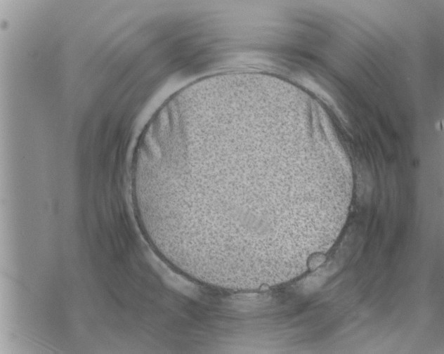 X0000067911478200605111930