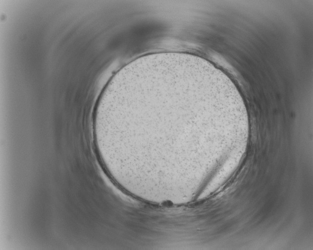 X0000067911479200605111930