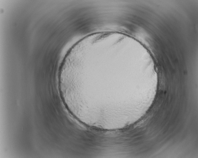 X0000067911480200605111930