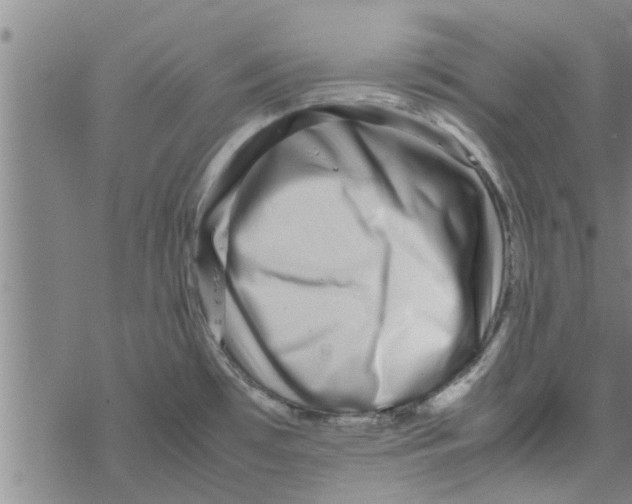 X0000067911481200605111930