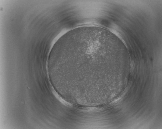 X0000067911482200605111930