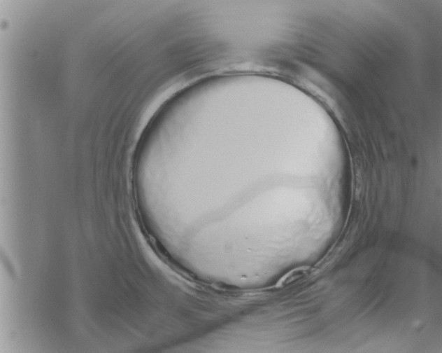 X0000067911483200605111930