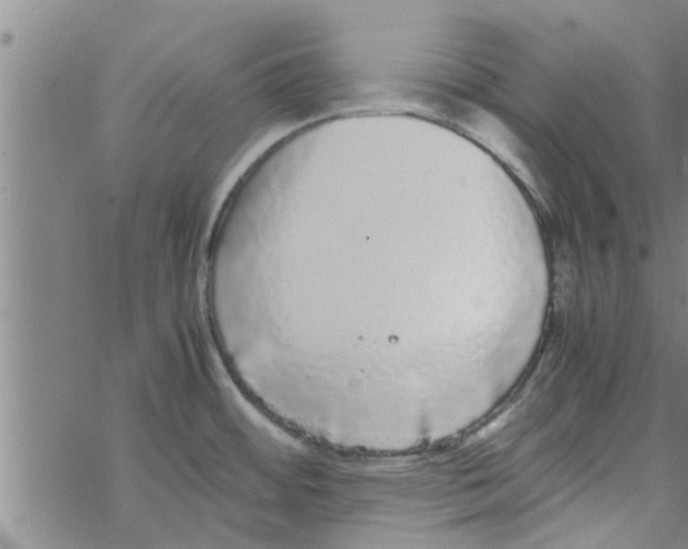 X0000067911484200605111930