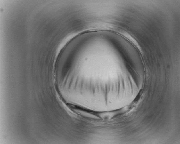 X0000067911485200605111930