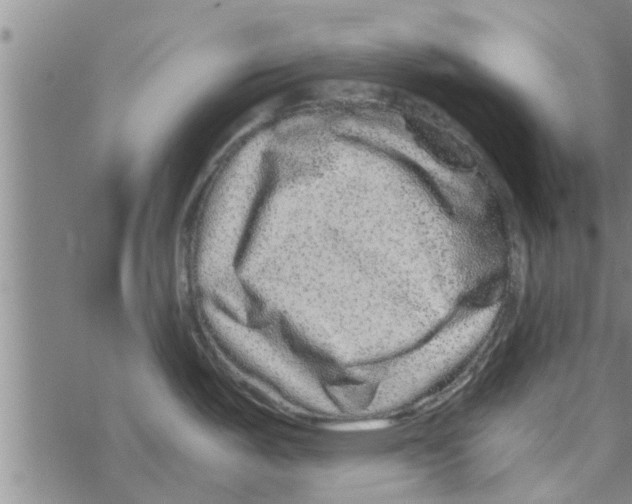 X0000067911487200605111930