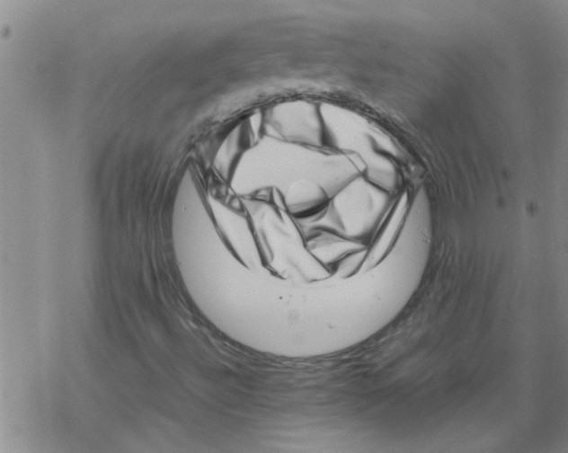 X0000067911492200605111929