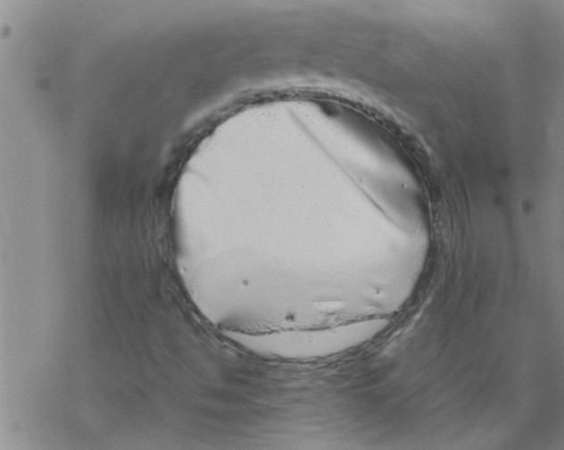 X0000067911494200605111929