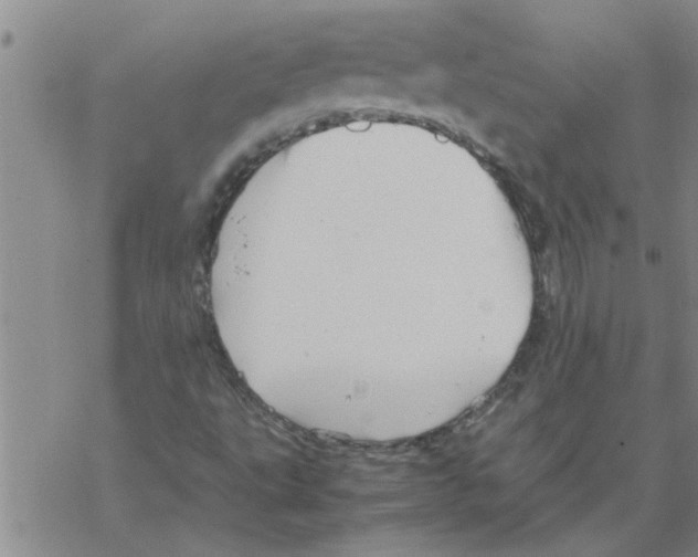 X0000067911495200605111929