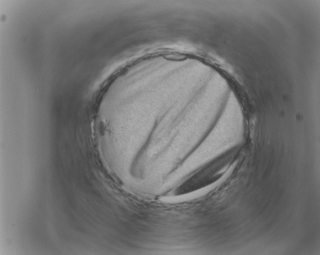 X0000067911496200605111929