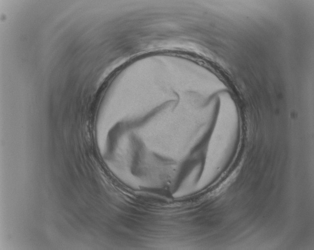 X0000067911497200605111929