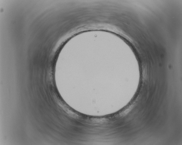 X0000067911498200605111929