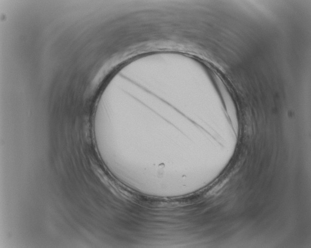 X0000067911499200605111929