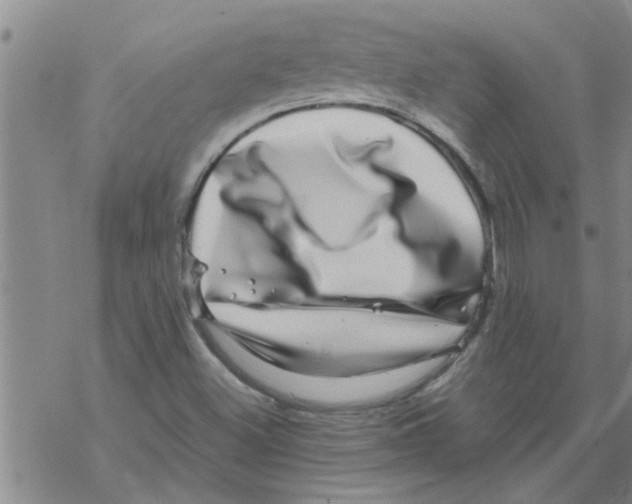 X0000067911500200605111929