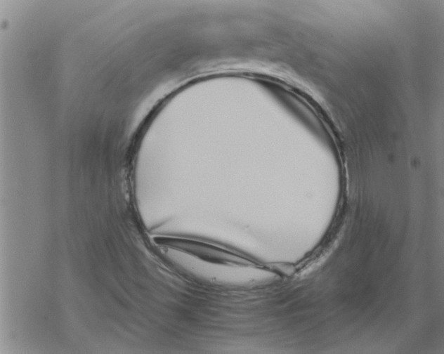 X0000067911501200605111929