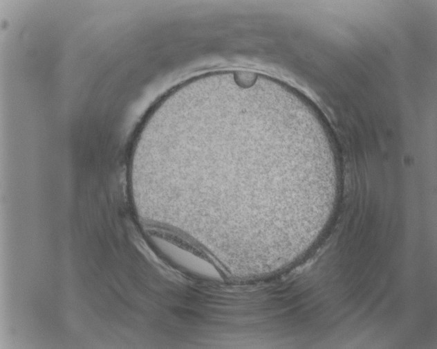 X0000067911503200605111929