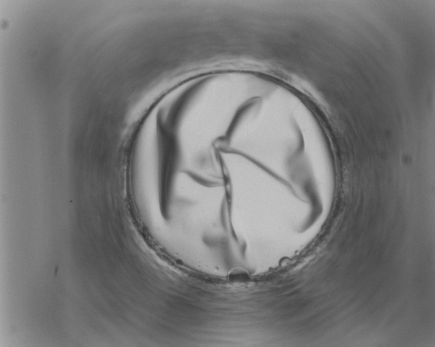 X0000067911504200605111929