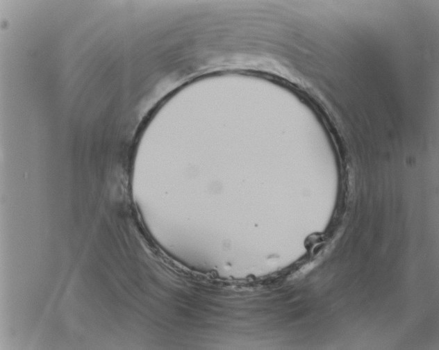 X0000067911505200605111929