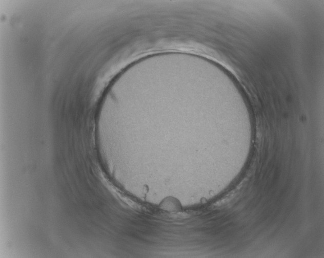 X0000067911507200605111929