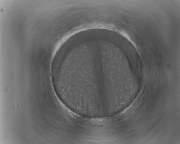 X0000067911508200605111929