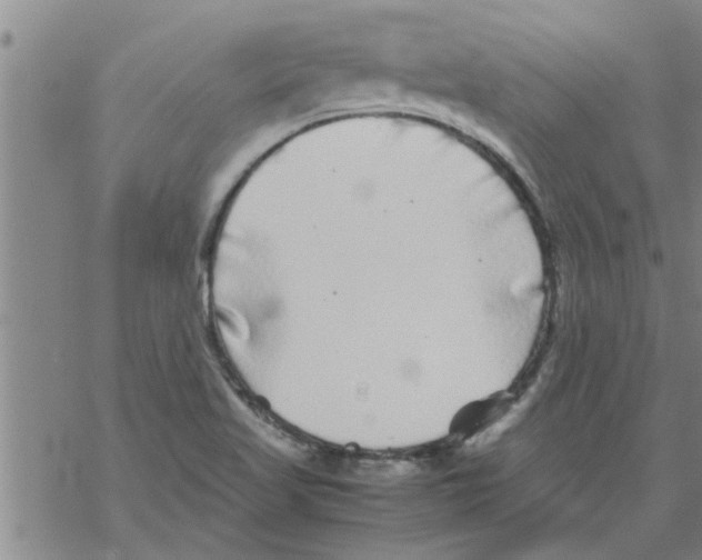 X0000067911509200605111929