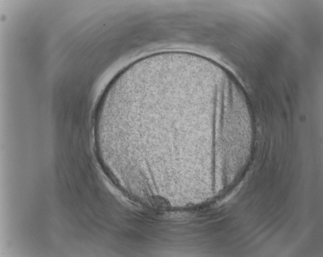 X0000067911511200605111929