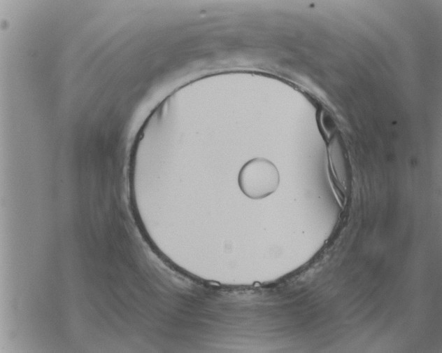 X0000067911512200605111929